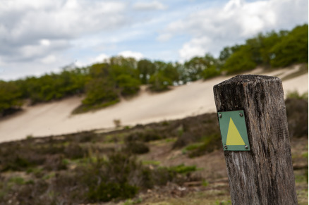 Overnachten met je paard op Sandberghe in de Maashorst VMP136